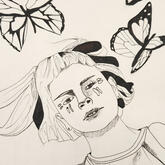 butterflies (pen)